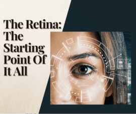 the retina the starting point of everything